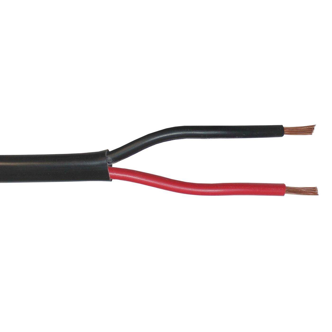 Lumonic 1m FLYY-fl Fahrzeugleitung 2x2,5mm² schwarz | 2-adrig | Anhängerkabel | mehradriges, flaches KFZ-Kabel | Öl- und Kraftstoffbeständig, flammwidrig | Niedervolt