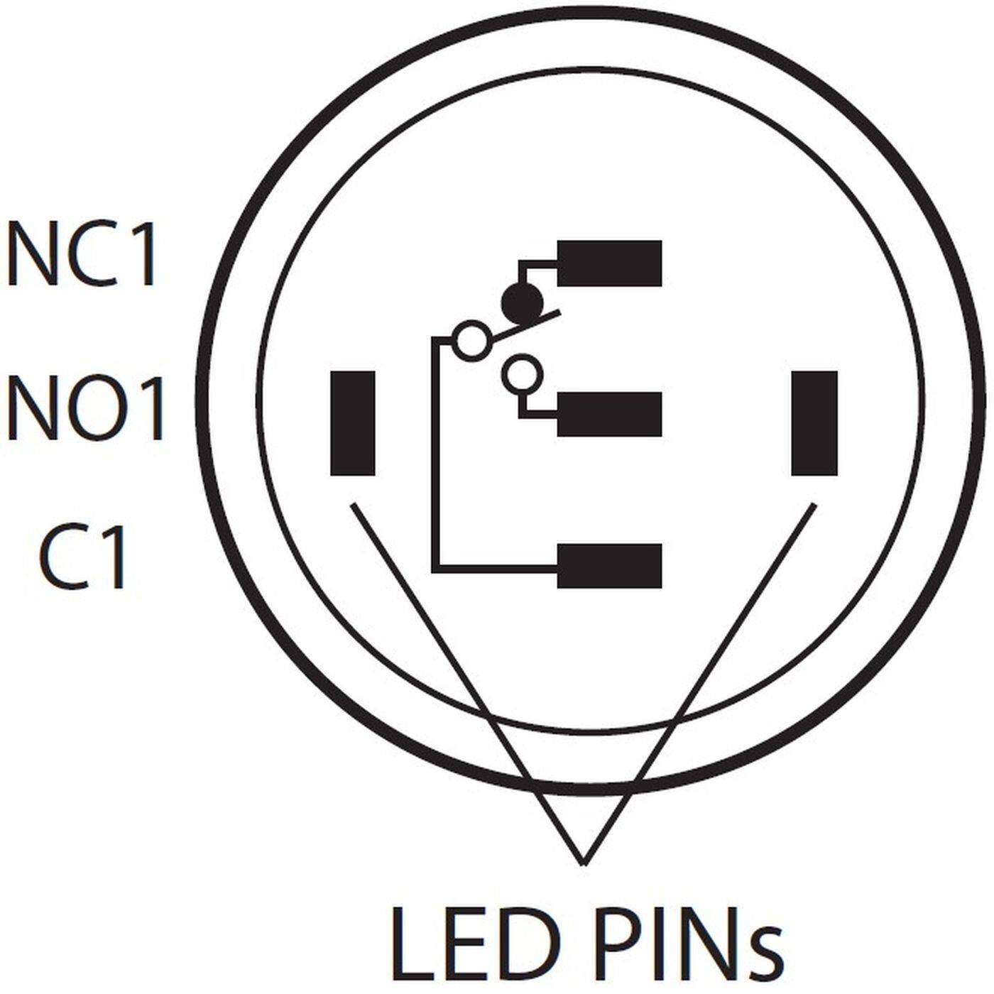 Lumonic Edelstahl Drucktaster gewölbt 19mm Durchmesser I Mit einer Ring LED in Grün Maße: 2,8x0,5mm Pin s 250V 3A I Vandalismussicher nach dem IP65 Standard